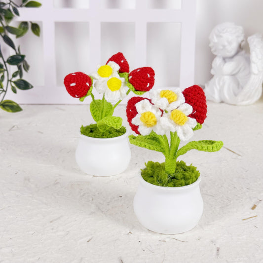 Handmade Finished Crochet Strawberry Pot, Strawberry Crochet Pot, Strawberry Decor, Decorative Plants, Crochet Flowers, Home Decor