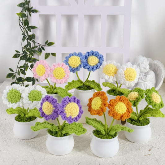 Crochet Daisy, Crochet Flower in Pot, Housewarming Gift, Desk Decoration, Room Decoration, Handmade Flower, Car Decor, Knitted Plant