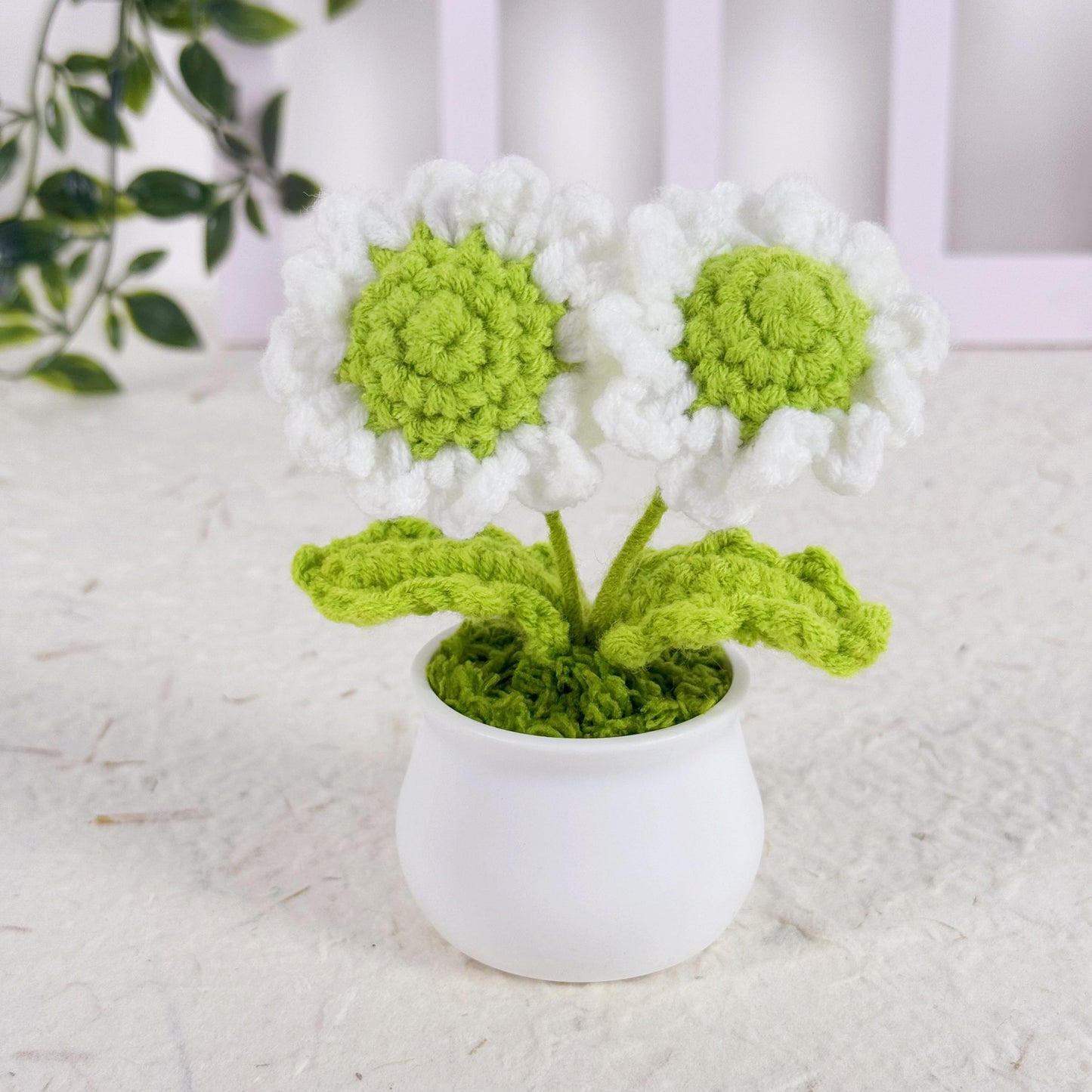 Crochet Daisy, Crochet Flower in Pot, Housewarming Gift, Desk Decoration, Room Decoration, Handmade Flower, Car Decor, Knitted Plant