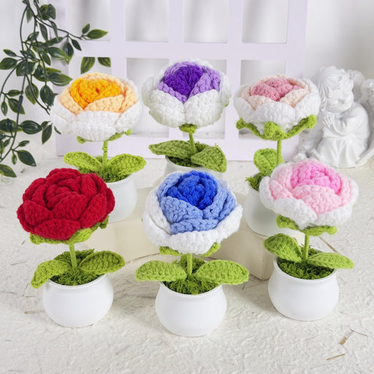Adorable Handmade Crochet Rose Flower, Crochet Flower Pots, Crochet Gradient Rose Potted Plant, Rose Pots Crochet, Crochet Gifts