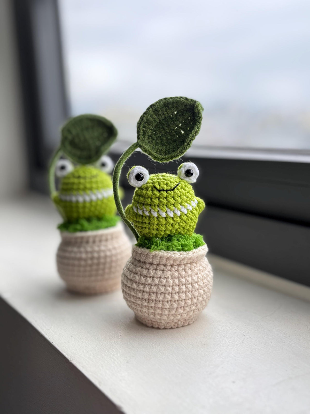 Smiling Frog Crochet Pot, Handmade Positive Gift, Cute Desk Decor, Cheer Up Gift, Birthday Gift for Loved Ones, Gift For Friends