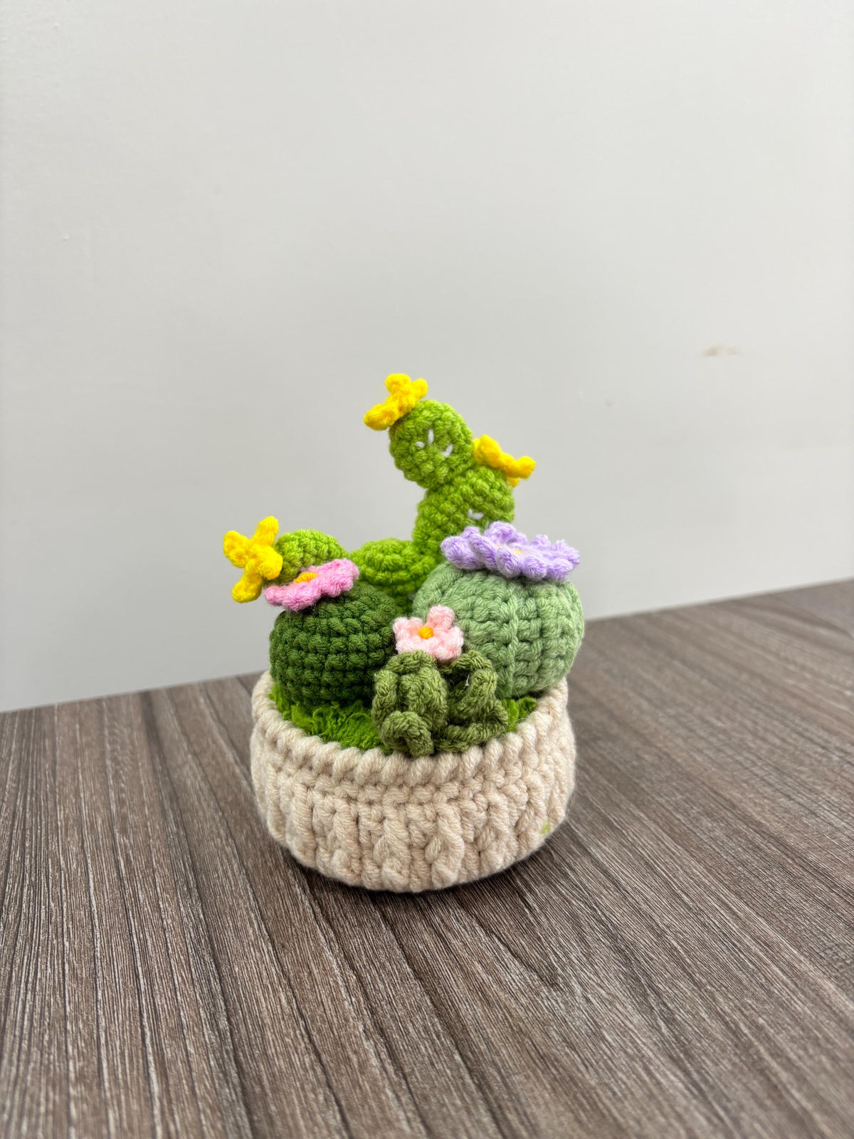 Crochet Flower Pot| Crochet Cactus Pot | Handmade Desk Decor, Cheerful Plant Accent | Handmade Crochet Cactus - Panda -Frog Pot
